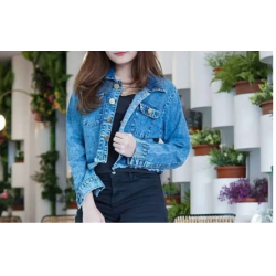 Crop Denim Jacket